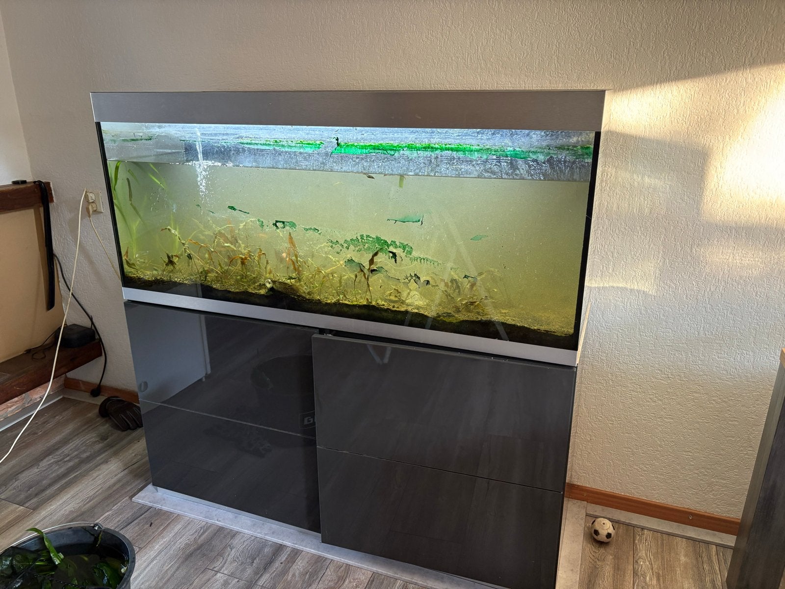 Aquarium / terrarium (oase highline 400), Dieren en Toebehoren, Vissen | Aquaria en Toebehoren, Ophalen, Gebruikt, Oase, Inclusief deksel
