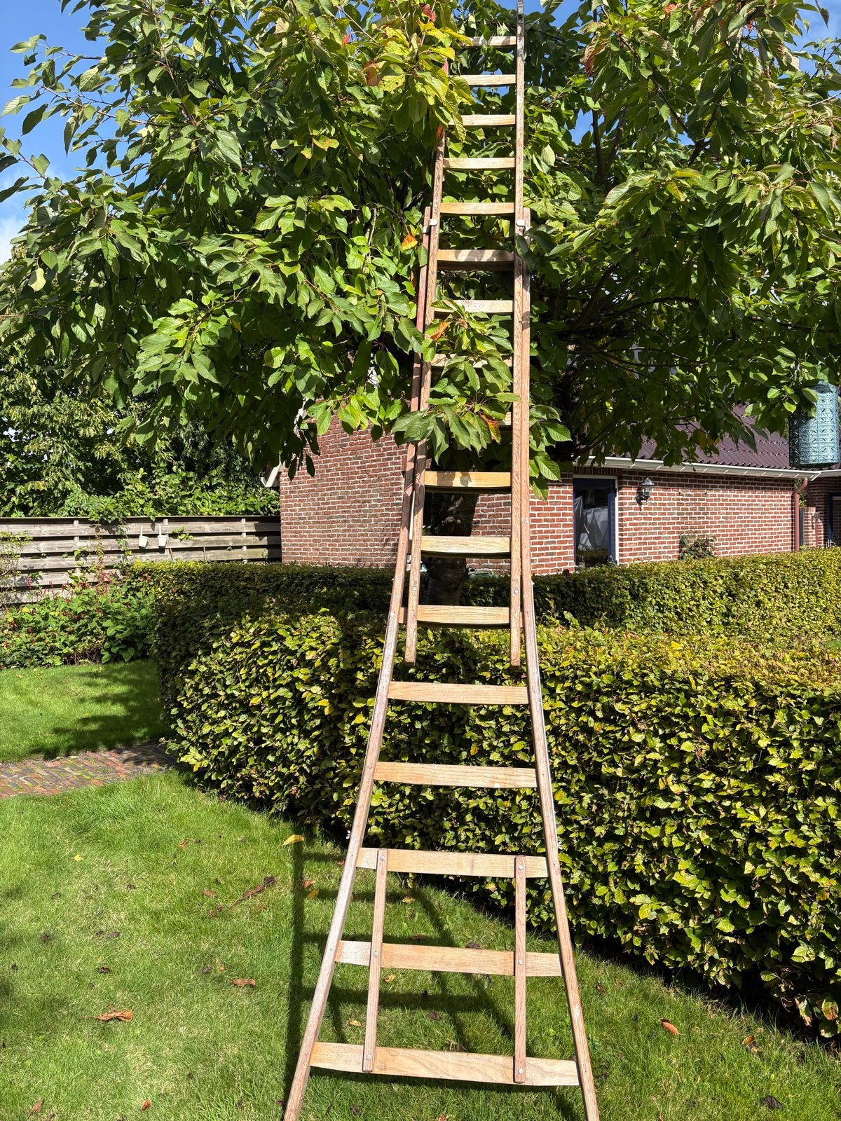 Houten ladder - 4 meter of meer - Gebruikt, Doe-het-zelf en Verbouw, Ophalen, Gebruikt, Ladder, Opvouwbaar of Inschuifbaar