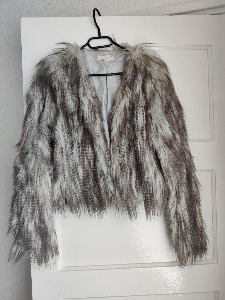 Bontjas kort, Kleding | Dames, Jassen | Winter, Ophalen of Verzenden, Zo goed als nieuw, Maat 34 (XS) of kleiner, Grijs