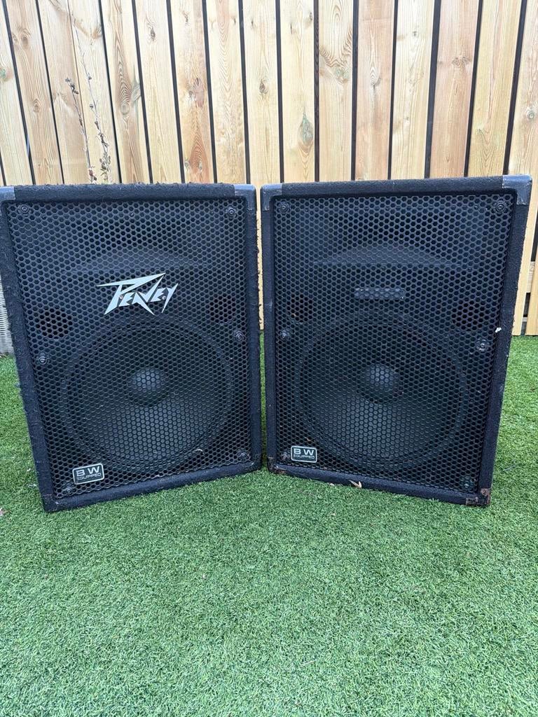 Peavey speakers, Audio, Tv en Foto, Luidsprekers, Gebruikt, 120 watt of meer, Front, Rear of Stereo speakers, Ophalen
