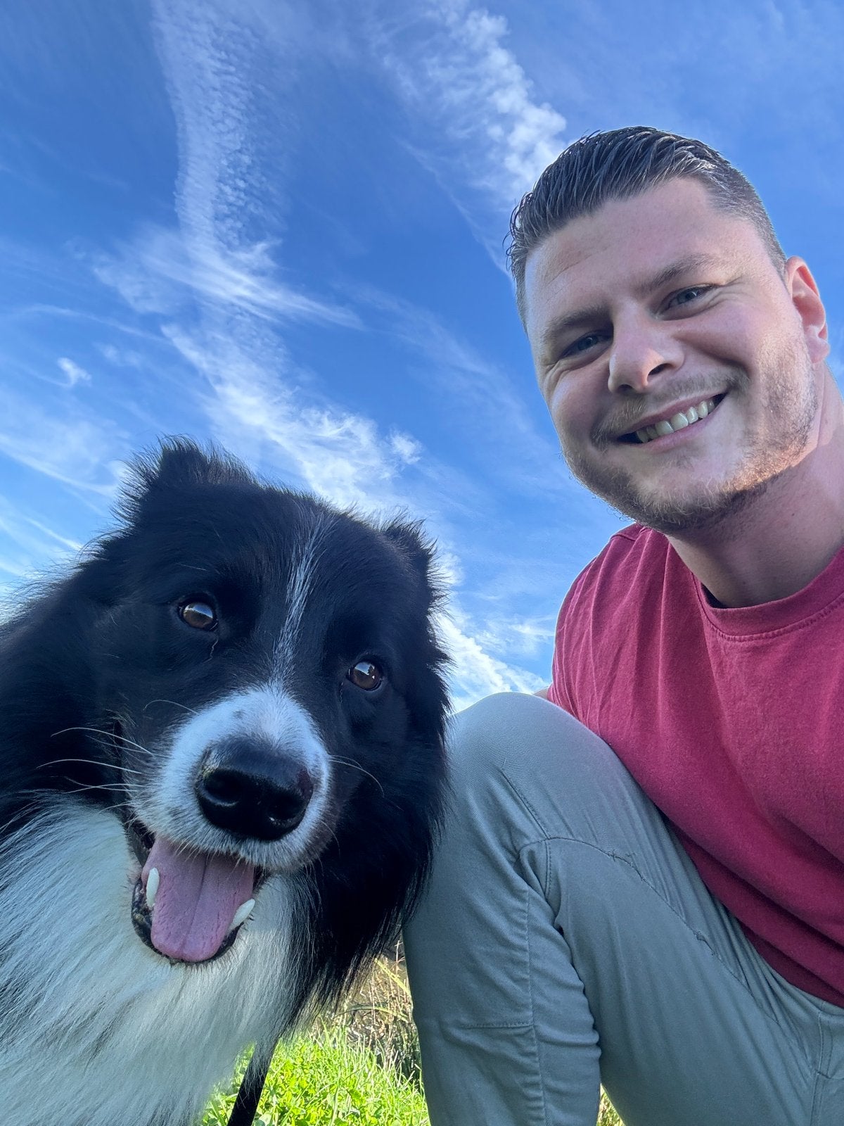 Hondenuitlaatservice, met aandacht en zorg voor uw hond(en)., Uitlaatservice