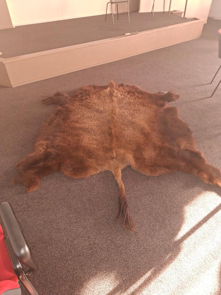 Bison huid, Ophalen of Verzenden