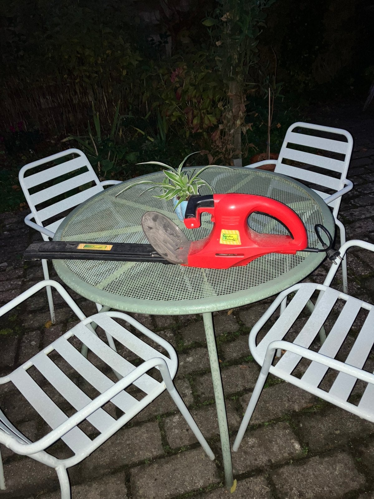 Fijne electrische heggenschaar., Tuin en Terras, Ophalen, Zo goed als nieuw, Elektrisch