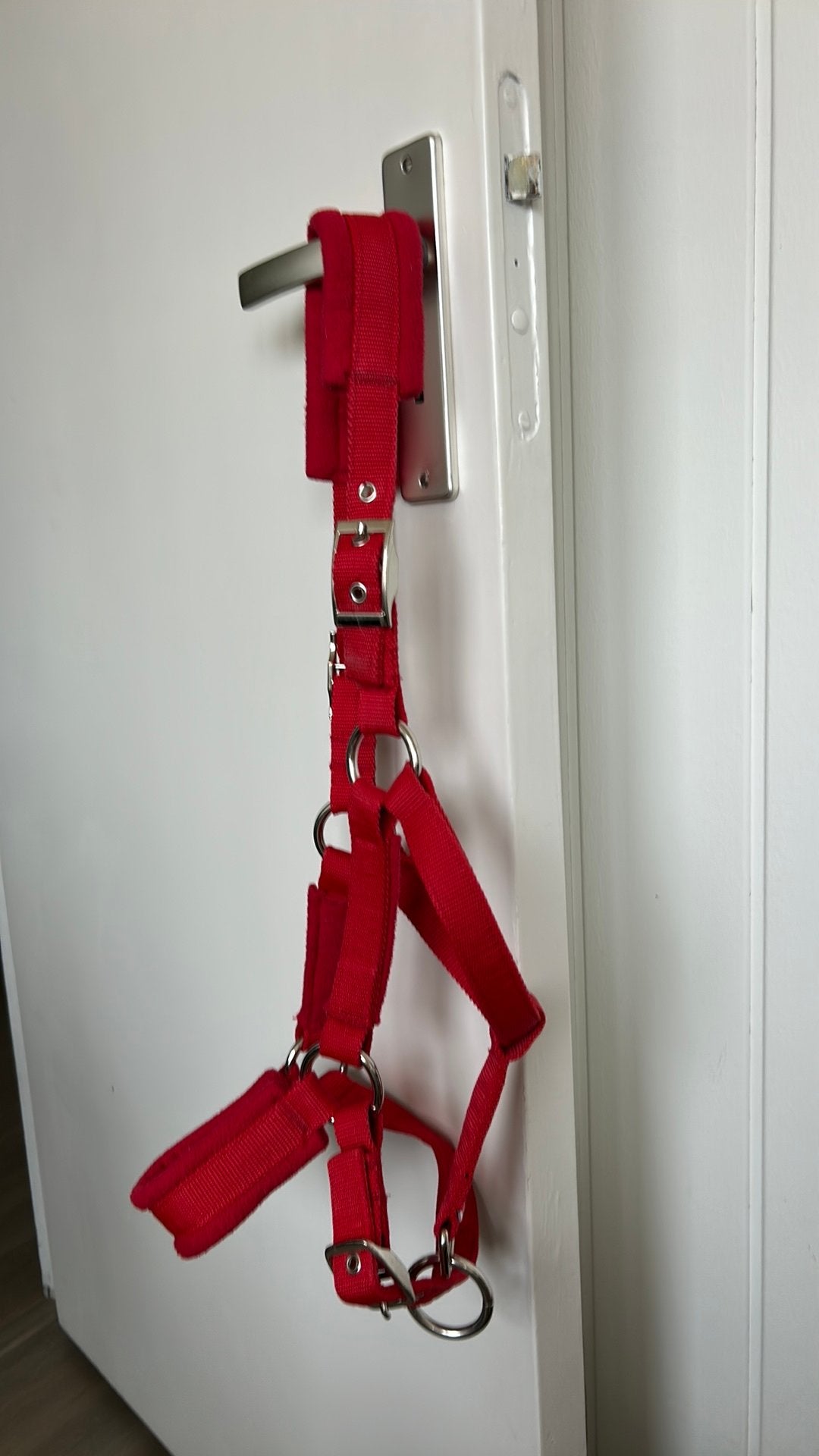 Halster soft cob, Ophalen of Verzenden, Zo goed als nieuw, Halster, Cob