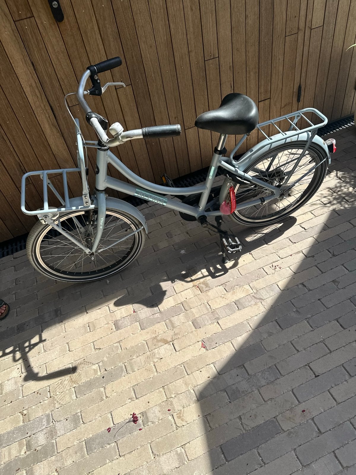 Meisjesfiets 20 inch Alpina, Overige merken, Gebruikt, Versnellingen, Ophalen of Verzenden