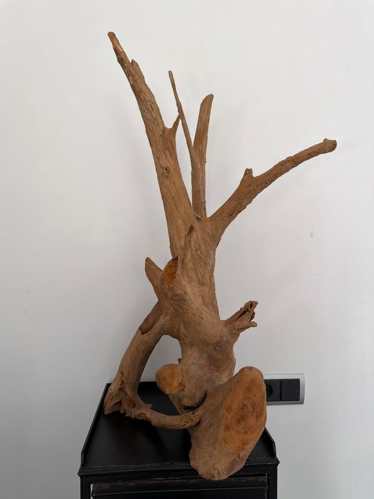 Decoratief stuk drijfhout - Uniek en natuurlijk, Huis en Inrichting, Woonaccessoires | Overige, Gebruikt, Hout, Bruin, Landelijk