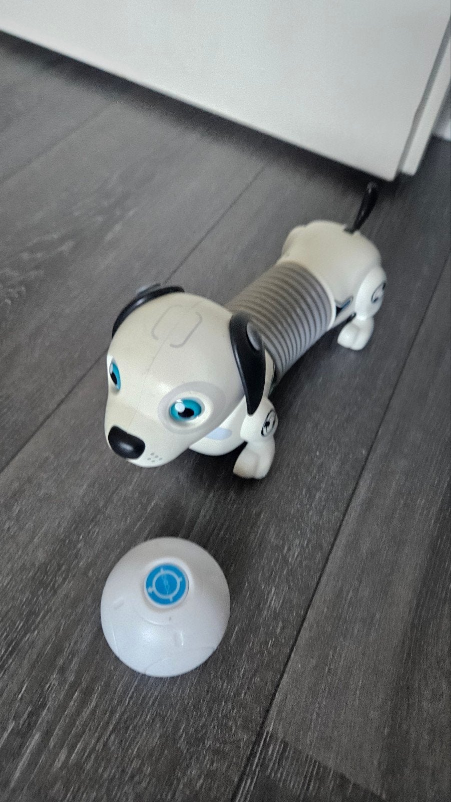 Interactieve robot hond met bal, Ophalen of Verzenden, Zo goed als nieuw, Jongen of Meisje