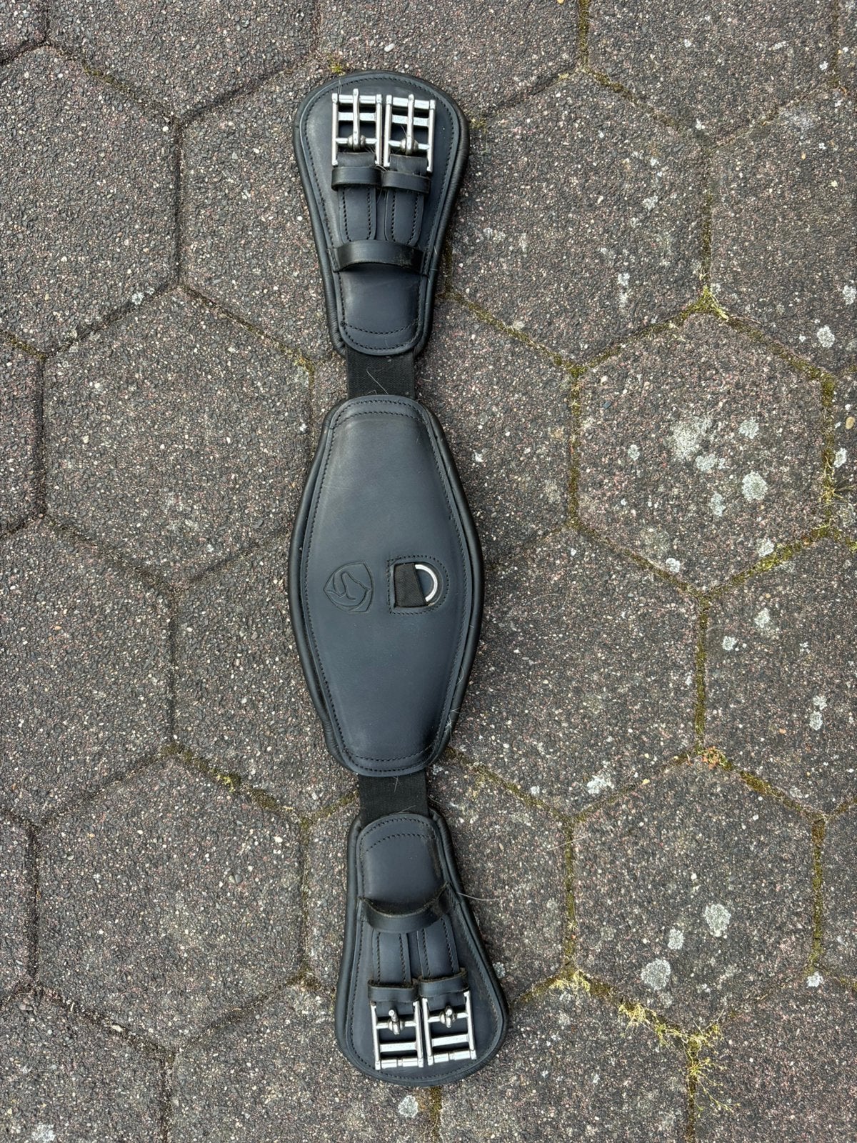 Edix dresuursingel, Dieren en Toebehoren, Ophalen of Verzenden