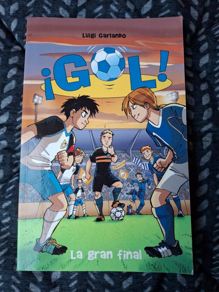 La gran final, Boeken, Sportboeken, Ophalen of Verzenden, Balsport