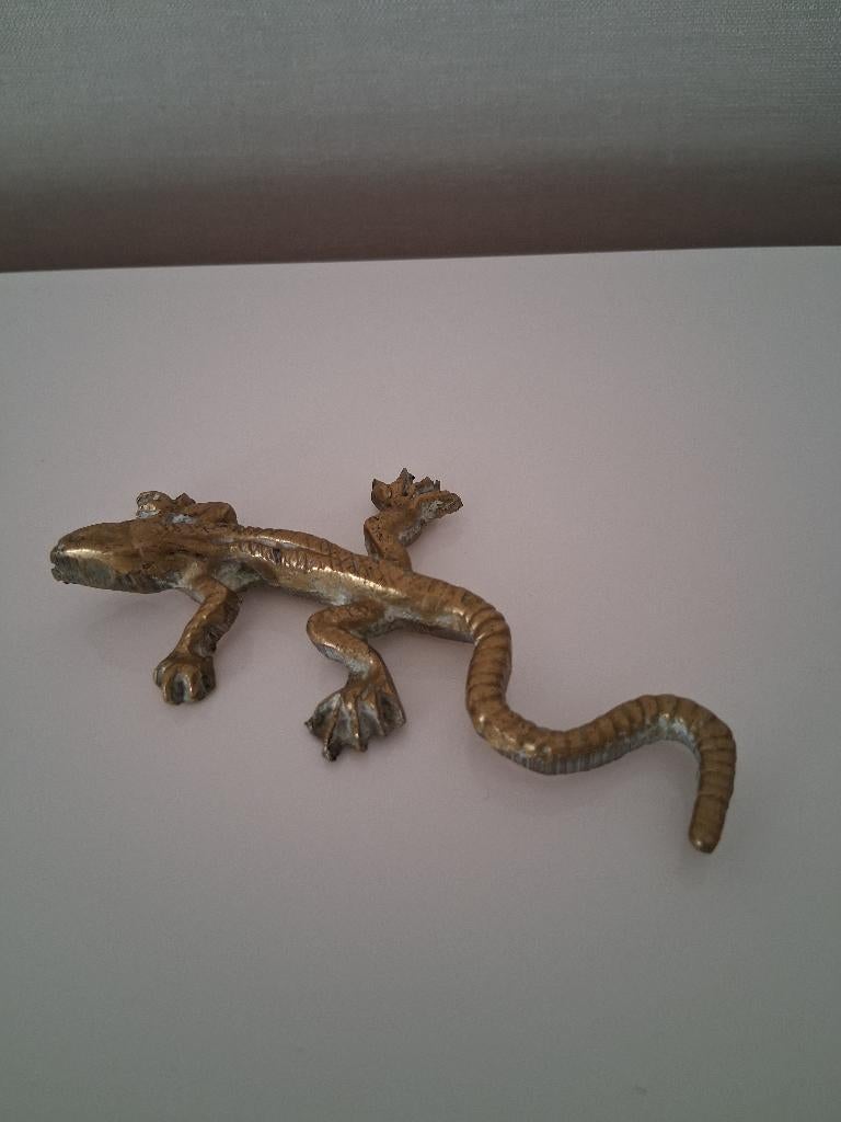 Hagedis, Ophalen, Brons