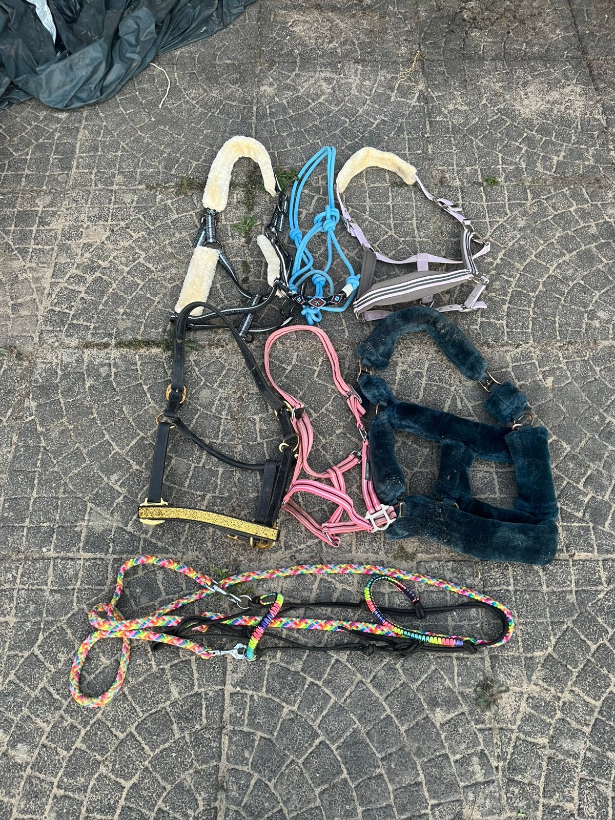 7 halsters, Zo goed als nieuw, Halster, Cob, Eskadron