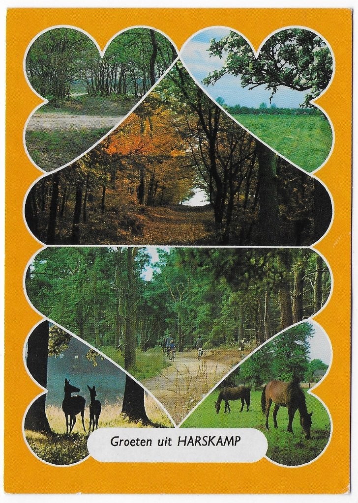 Harskamp Gelopen Ansichtkaart (B 5147 ), Ophalen of Verzenden, 1980 tot heden, Gelopen