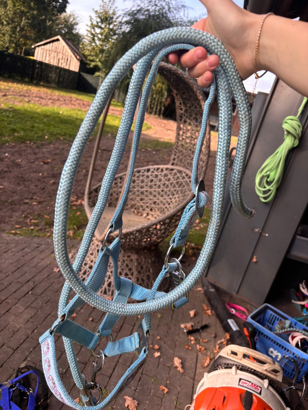 Halster gypsy phalasquo met touw, Ophalen of Verzenden, Zo goed als nieuw, Halster, Pony