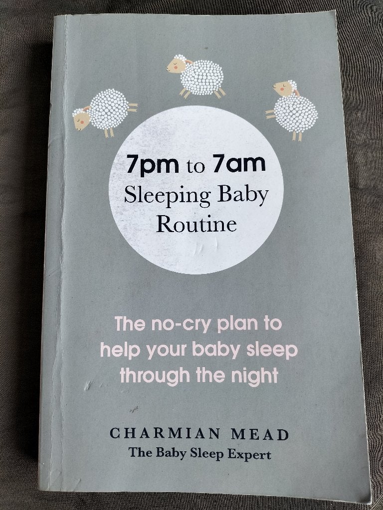 Charmian Mead - 7pm to 7am / Sleeping Baby Routine, Boeken, Ophalen of Verzenden, Zo goed als nieuw, Opvoeding tot 6 jaar, Charmian Mead