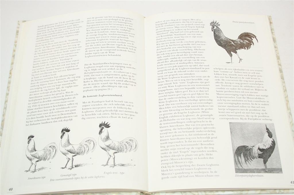 Leghorns — Kippenras & Fokgeschiedenis Zeldzaam Genummerd, Ophalen of Verzenden, Gelezen