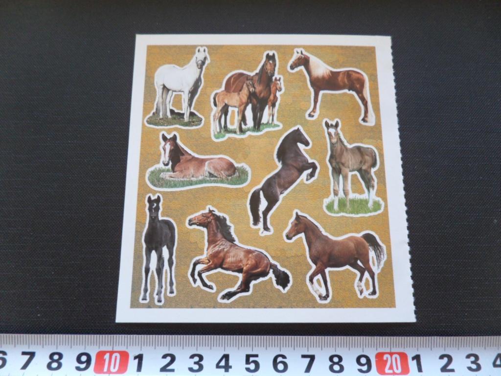 sticker set Paard Paarden GD066, Verzamelen, Stickers, Zo goed als nieuw, Ophalen
