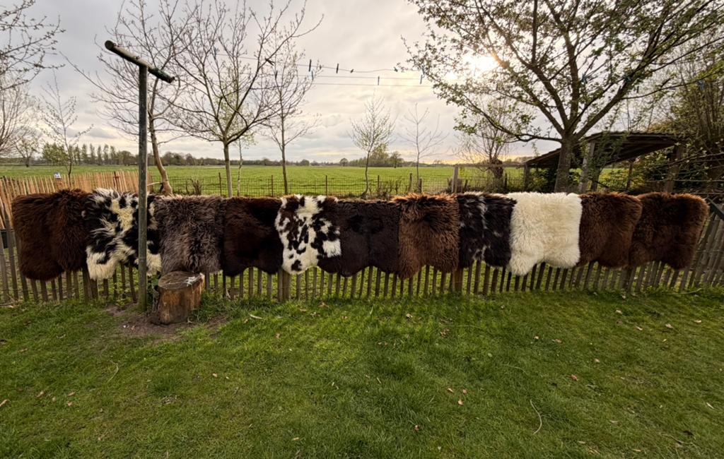Diverse schapenvachten - Natuurlijke decoratie, Meerkleurig, Nieuw, Ophalen of Verzenden, Landelijk
