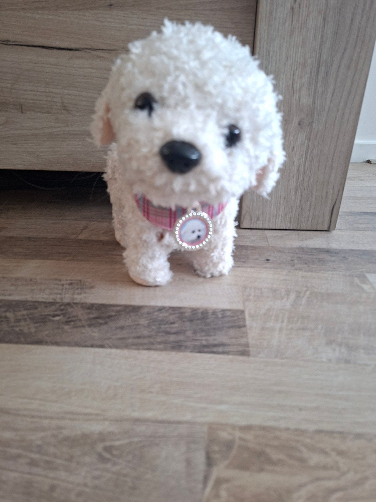 babyborn hondje, Kinderen en Baby's, Speelgoed | Knuffels en Pluche, Gebruikt, Met kleding of accessoire, Klein (minder dan 20 cm)