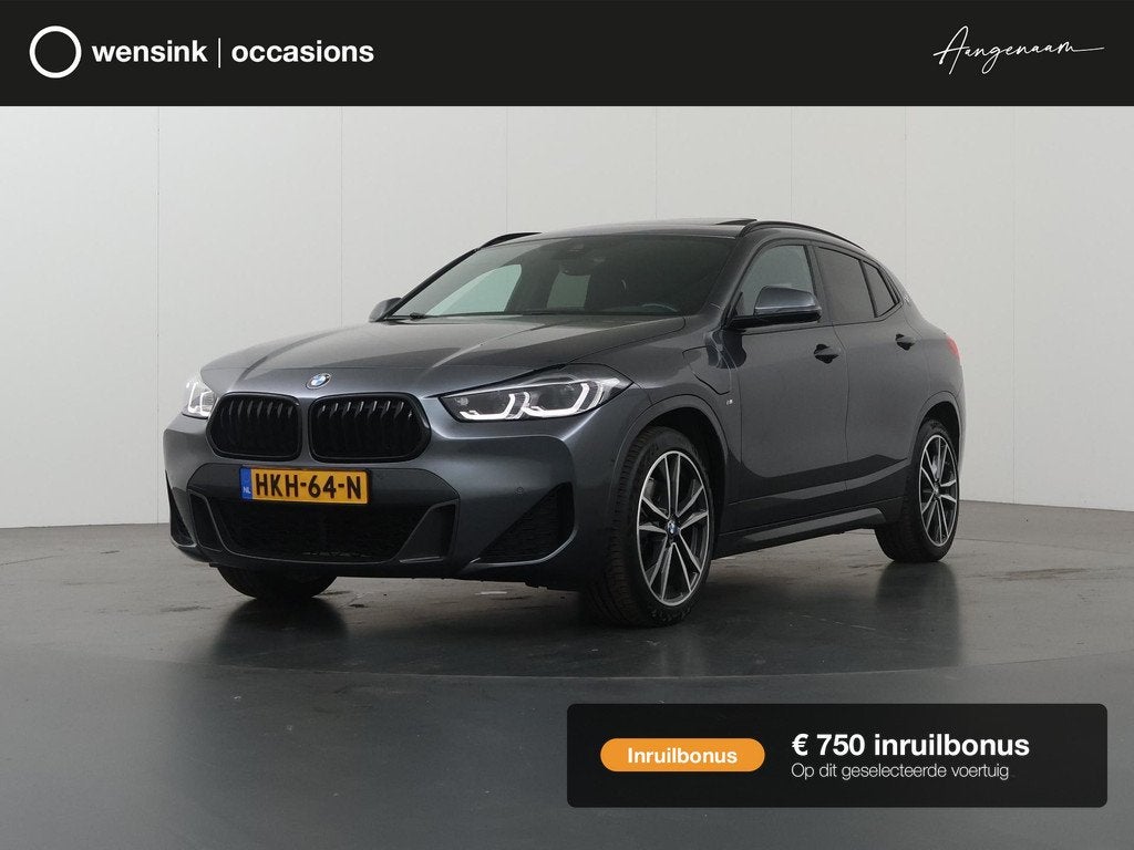 BMW X2 xDrive25e High Executive | M-Pakket | Panoramadak | S