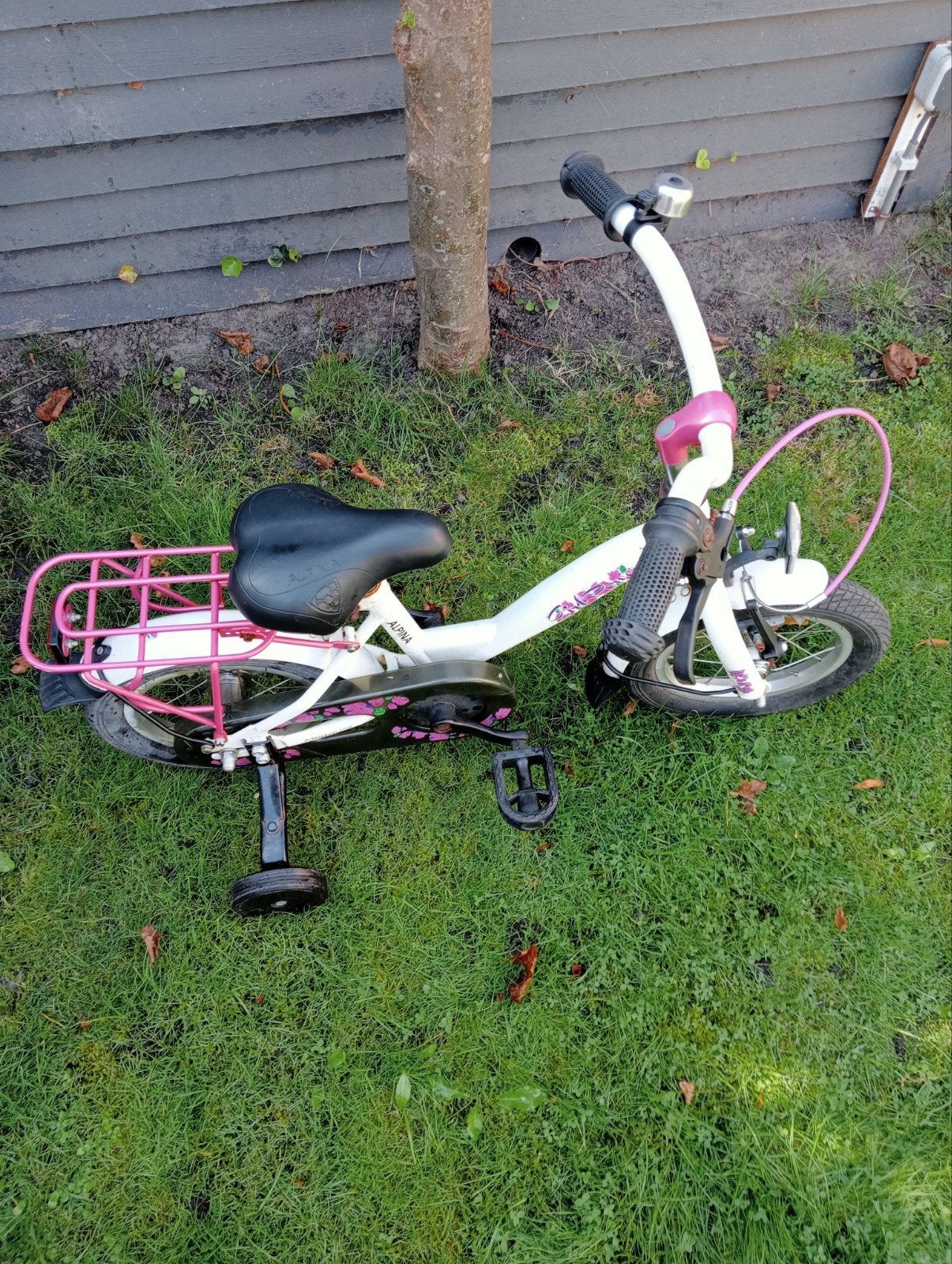 Alpina girl power 12 inch, Ophalen of Verzenden, Gebruikt, 14 inch of minder