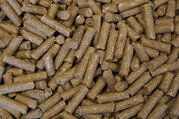 't Dijkje paardenvoer basis 20kg, Dieren en Toebehoren, Dierenvoeding, Ophalen of Verzenden, Vee