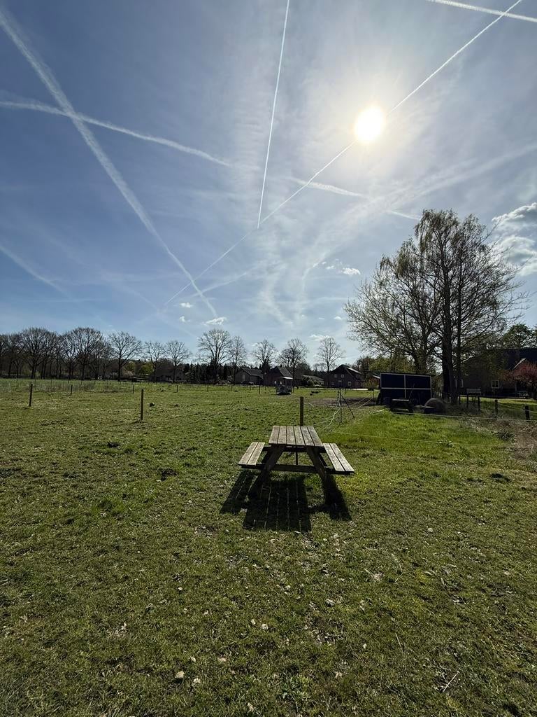 Weiland te koop Berghem Heistraat !!! Unieke plek 6900 m2, Weidegang