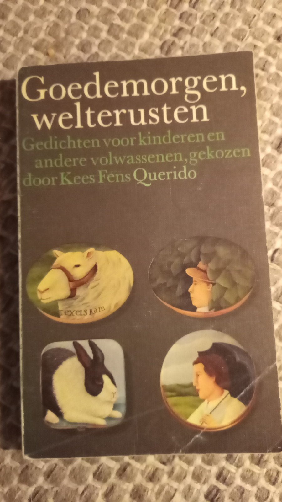 Goedemorgen,Welterusten. ( gedichten voor kinderen), Ophalen of Verzenden, Gelezen