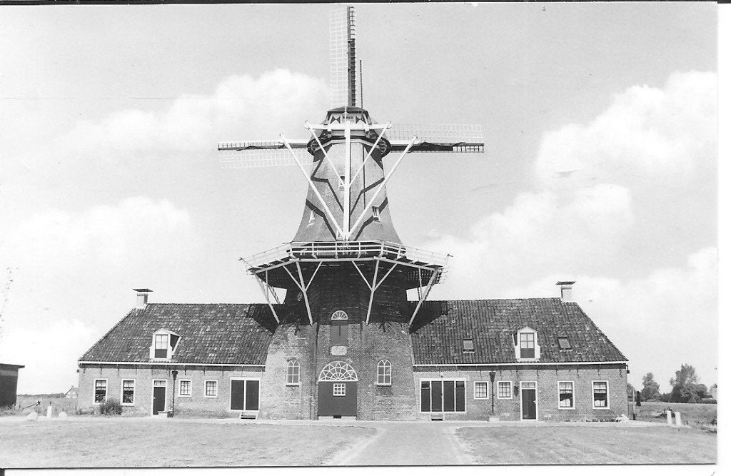 Ansichtkaart Roden, Koren- en oliemolen 'Woldzigt', Ophalen of Verzenden, 1960 tot 1980, Ongelopen, Drenthe