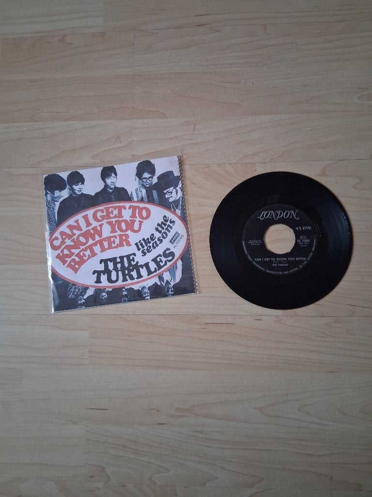 Turtles, Ophalen of Verzenden, Gebruikt, Pop