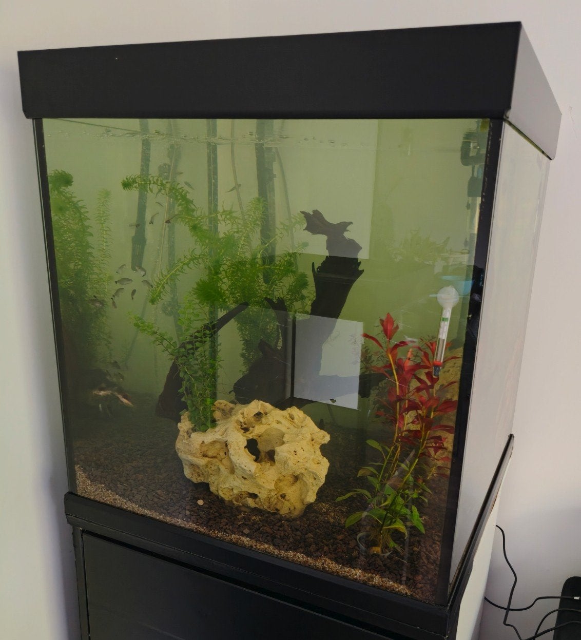 LEEG AQUARIUM ZONDER KAST!, Ophalen, Gebruikt, Leeg aquarium