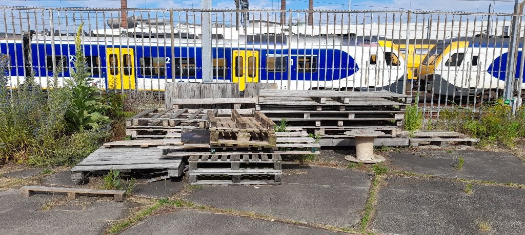 Gratis pallets af te halen Maastricht, Ophalen, Gebruikt, 25 tot 50 mm, Pallet