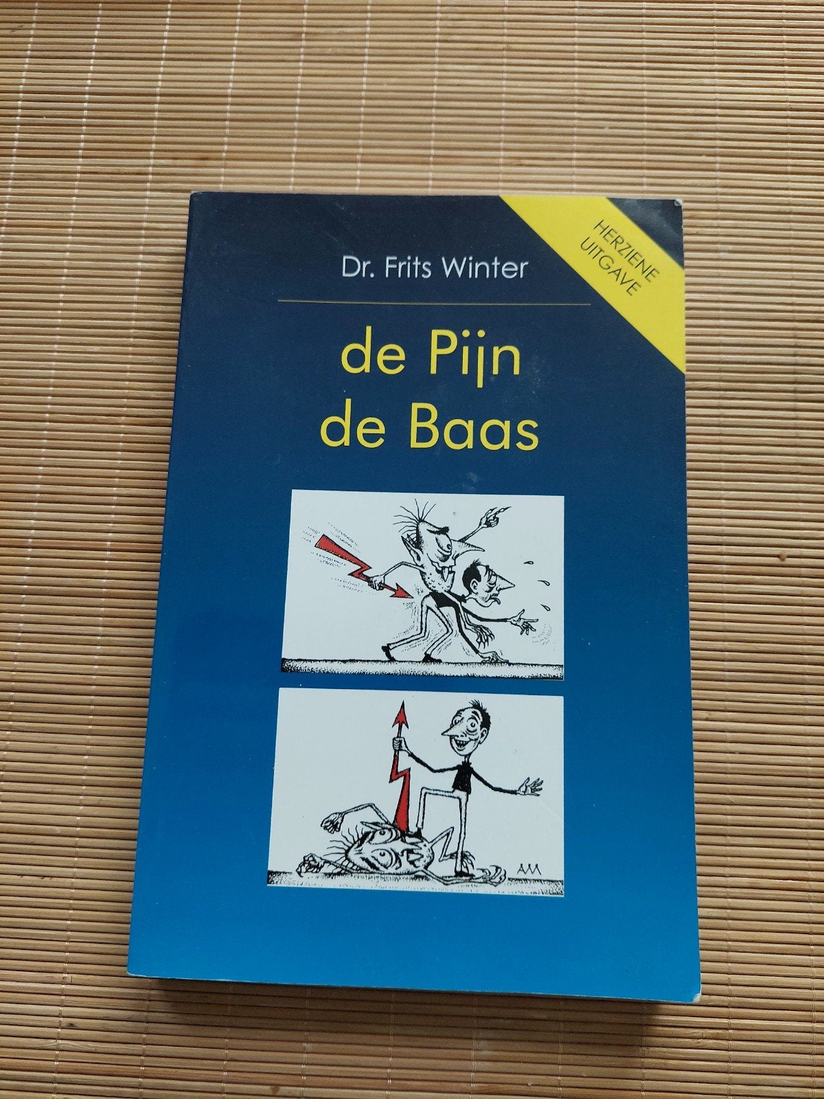 F. Winter - De pijn de baas, Ophalen of Verzenden, Zo goed als nieuw, F. Winter