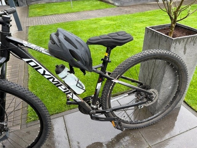 mountainbike, Heren, 49 tot 53 cm, Zo goed als nieuw, Ophalen