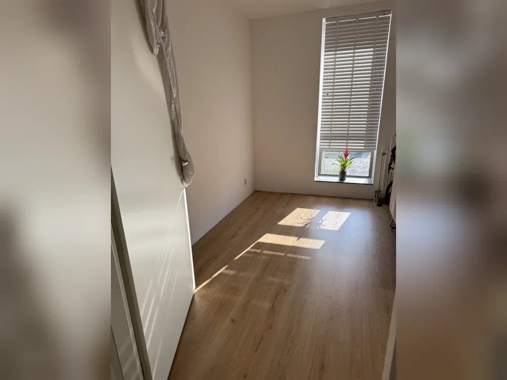 NIEUW! Woonruimte te huur Lingestraat, Berkel en Rodenrijs