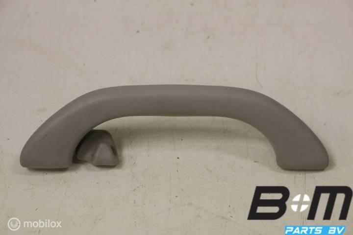 Handgreep in hemel RA (bijrijderskant) VW Passat 3BG, Auto-onderdelen, Interieur en Bekleding, Gebruikt