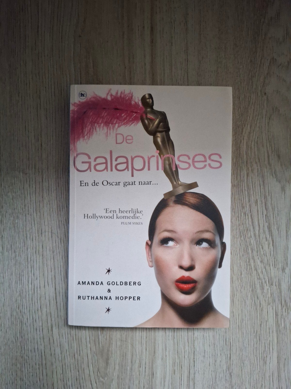 De Galaprinses Amanda Goldberg en Ruthanna Hopper, Ophalen of Verzenden, Gelezen, Amanda Goldberg & Ruthanna Hopper, Amerika