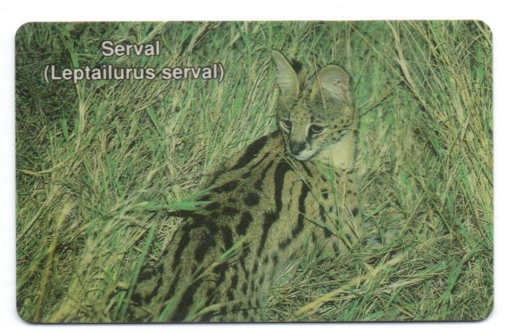Telefoonkaart Namibië, serval, Verzamelen, Ophalen of Verzenden, Buitenland