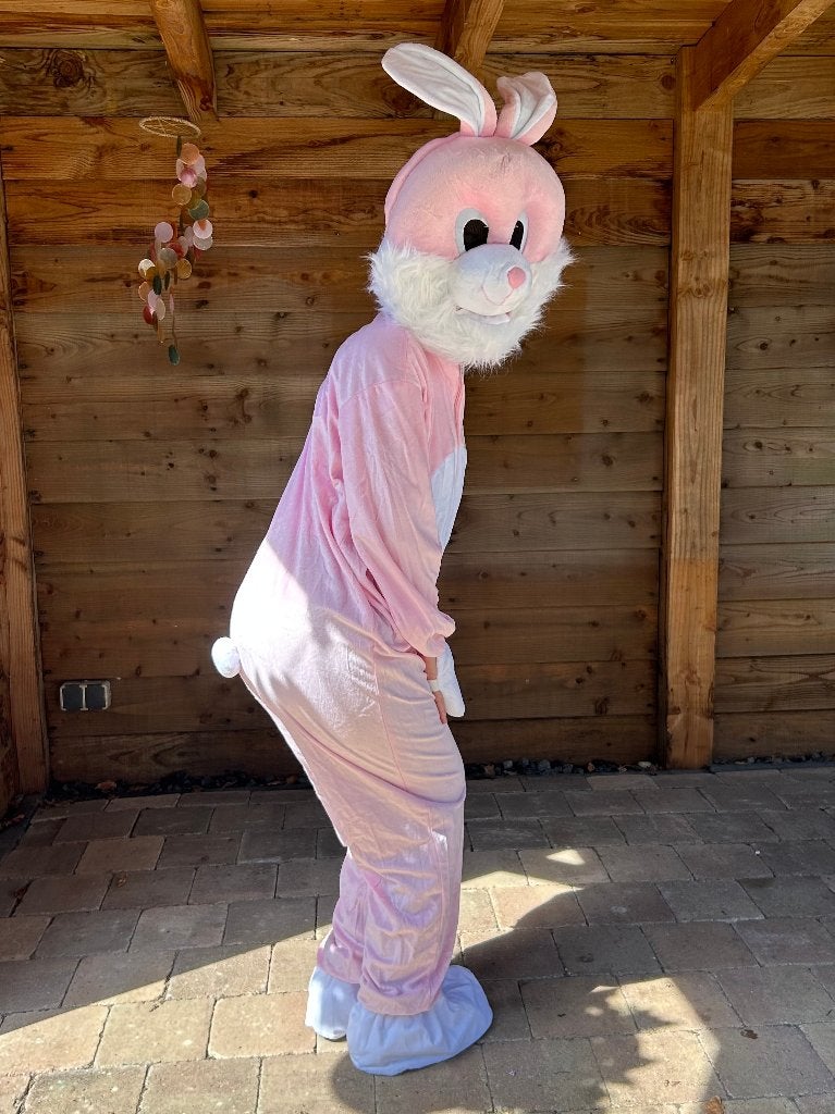 Leuke dierenkostuums mascotte pakken te huur, Ophalen of Verzenden, Zo goed als nieuw, Overige