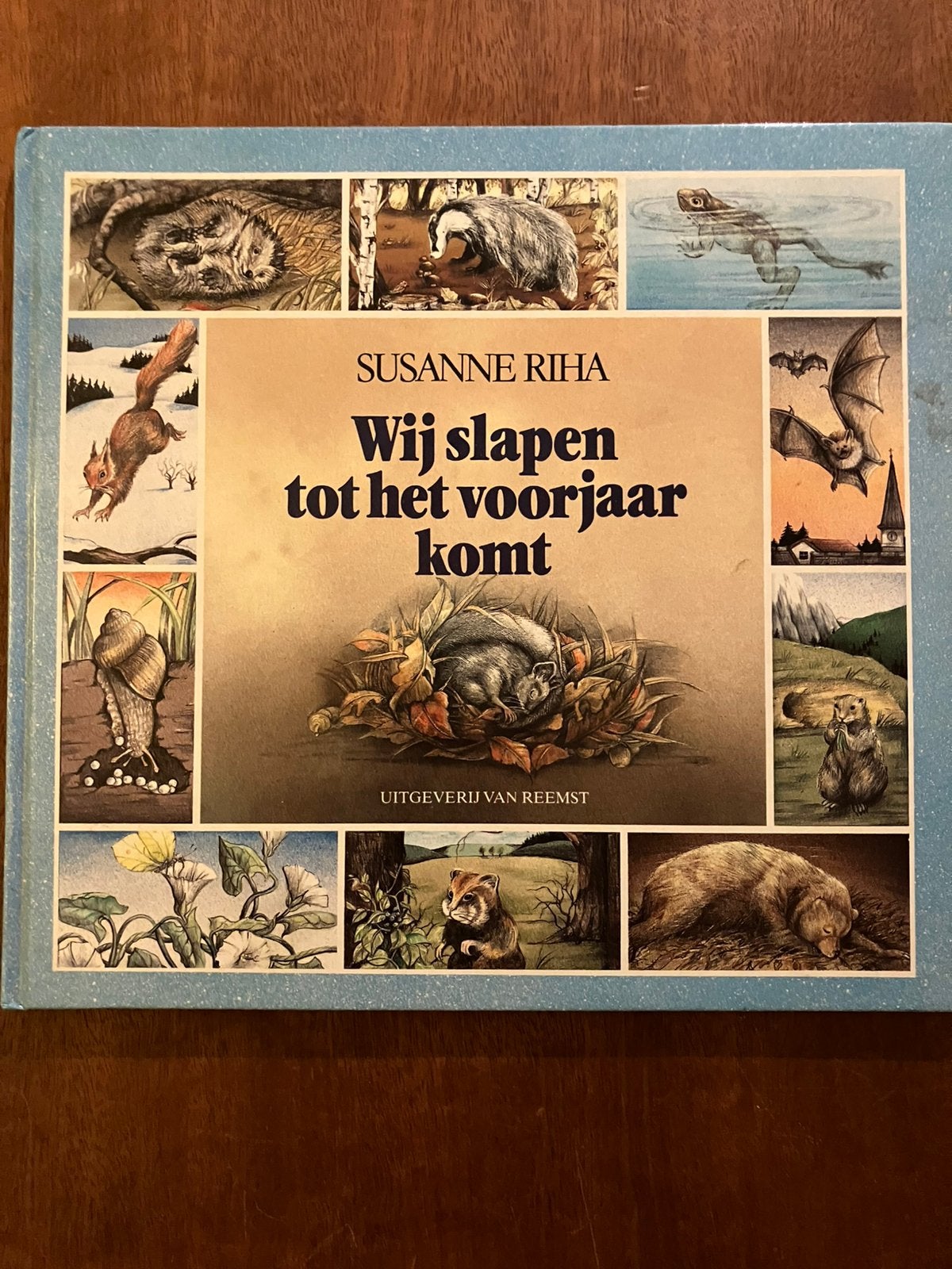 Wij slapen tot het voorjaar komt Susanne Riha, Ophalen of Verzenden, Gelezen