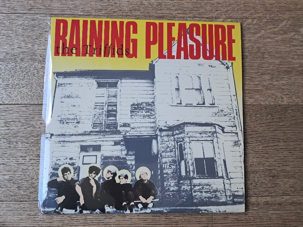 The Triffids - Raining Pleasure, Ophalen, LP, Gebruikt, 12 inch