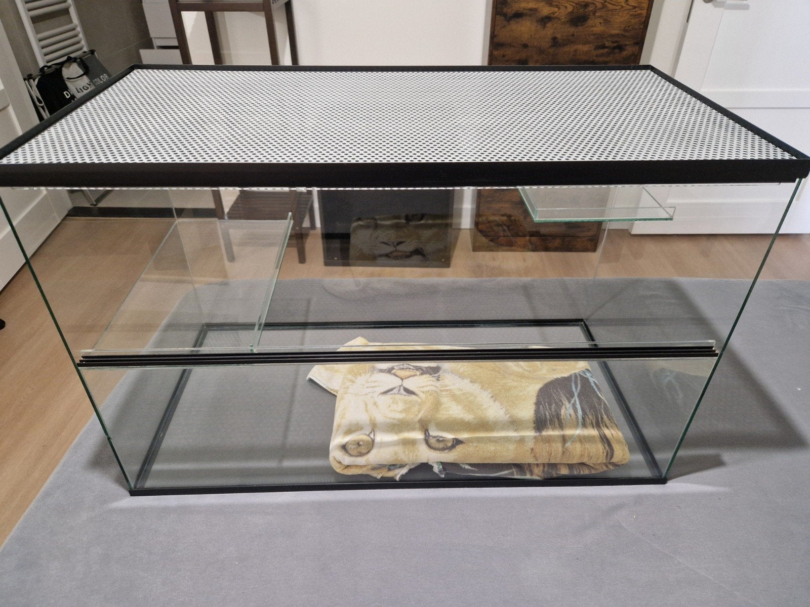 Gerbilshopqueenies Hamsterkooi van glas 73×51,5×40 cm, Dieren en Toebehoren, Knaagdieren en Konijnen | Hokken en Kooien, Kooi