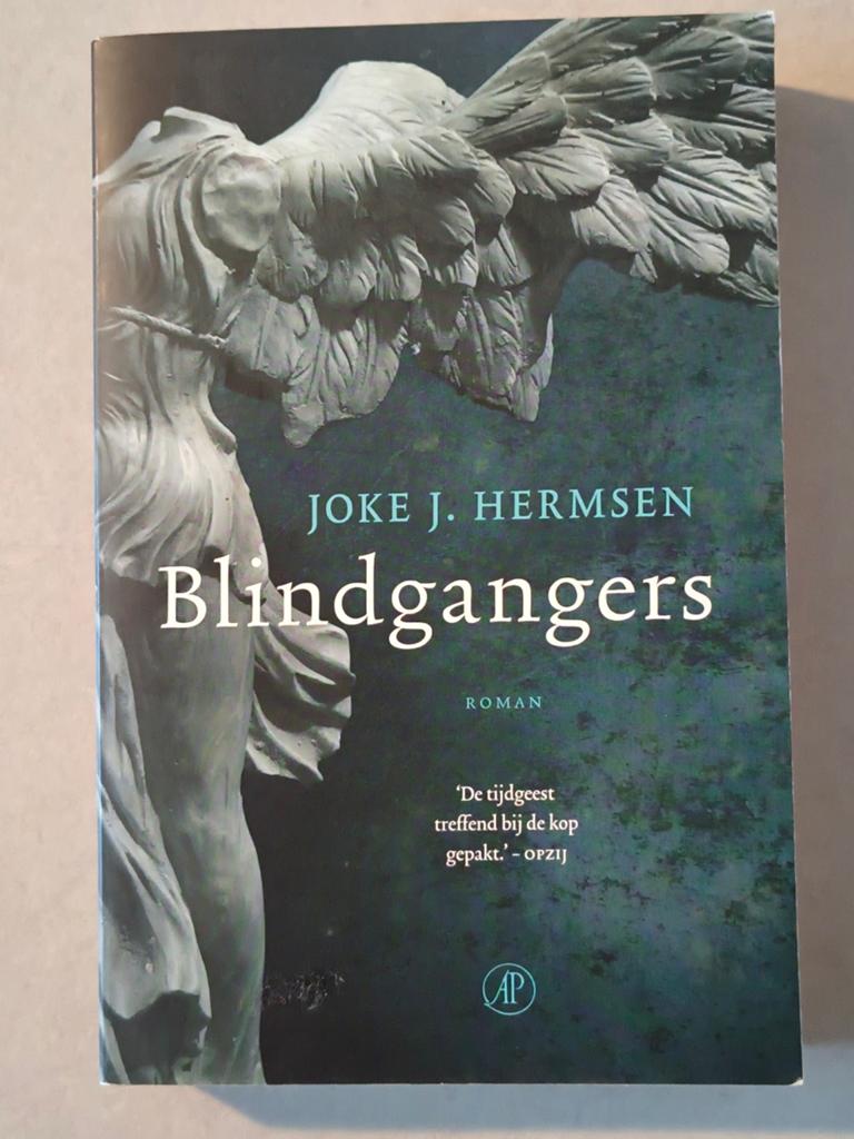 Blindgangers - Joke J. Hermsen (Roman), Ophalen of Verzenden, Gelezen, Joke J. Hermsen, Nederland