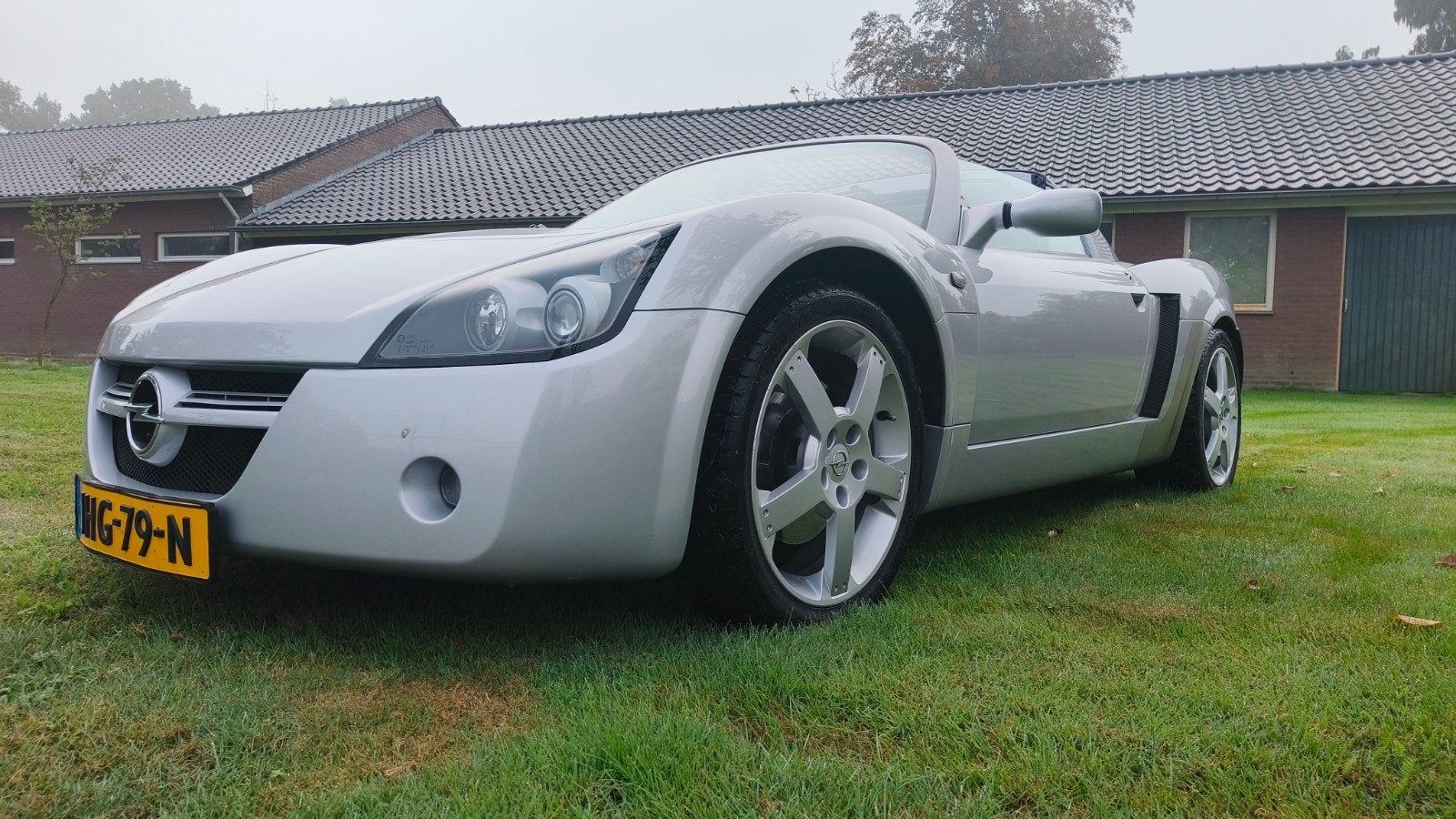 Opel Speedster 2.2 Targa 2003 Grijs, Auto's, Achterwielaandrijving, Zwart, 4 cilinders, Handgeschakeld