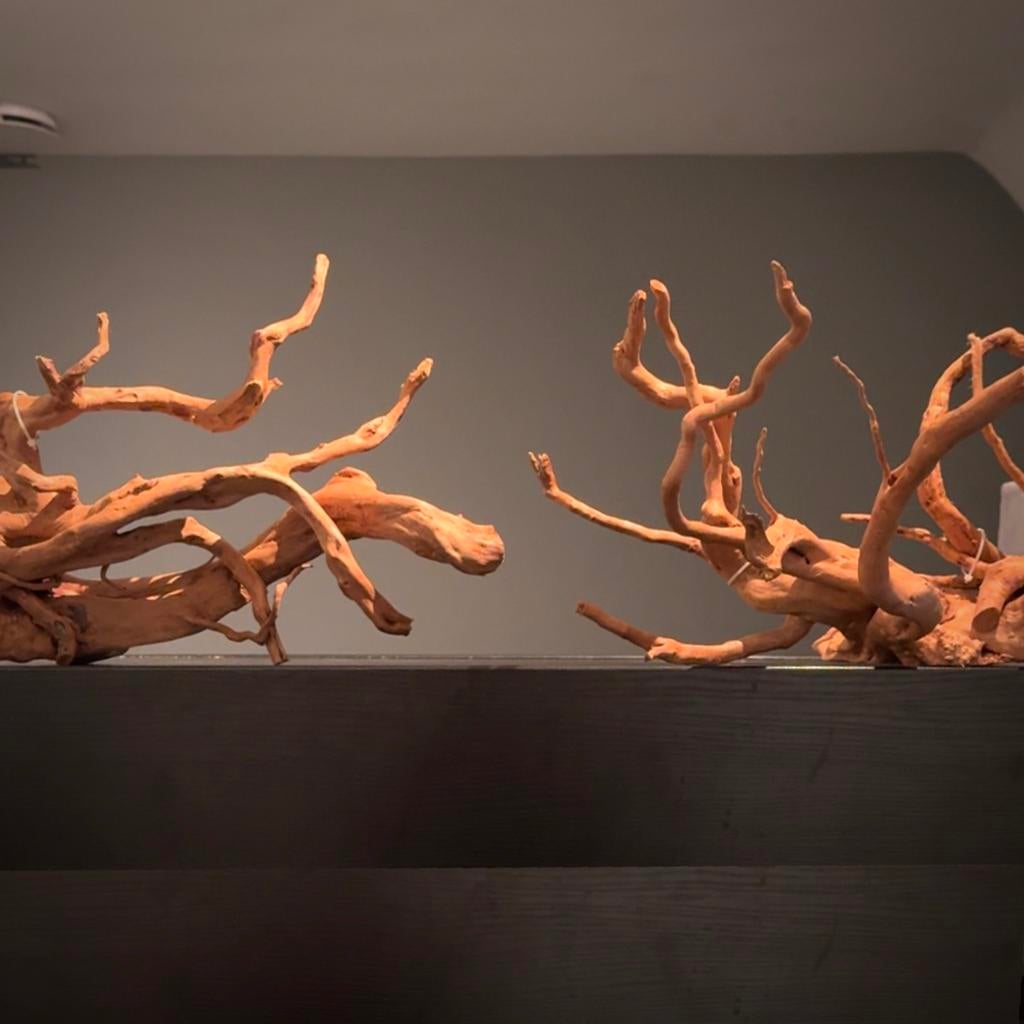 2x Spiderwood XXL Aquascape Set / Kienhout, Hout Decoratie, Ophalen of Verzenden, Zo goed als nieuw, Plant(en), Steen of Hout