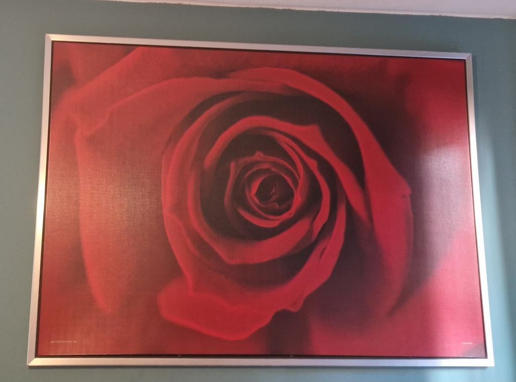 Gratis grote IKEA wanddecoratie Rode roos, Ophalen, Zo goed als nieuw, Decoratieobject