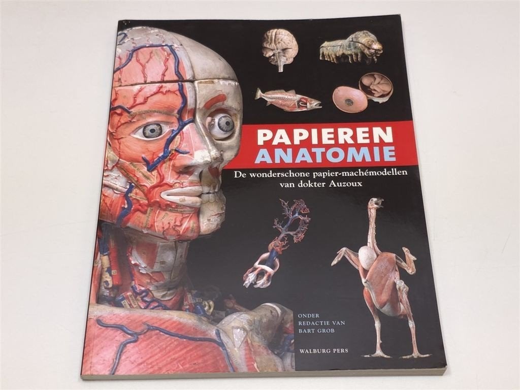 Papieren Anatomie — Papier-Maché Modellen Auzoux 19e Eeuw, Ophalen of Verzenden, Gelezen, Natuurwetenschap