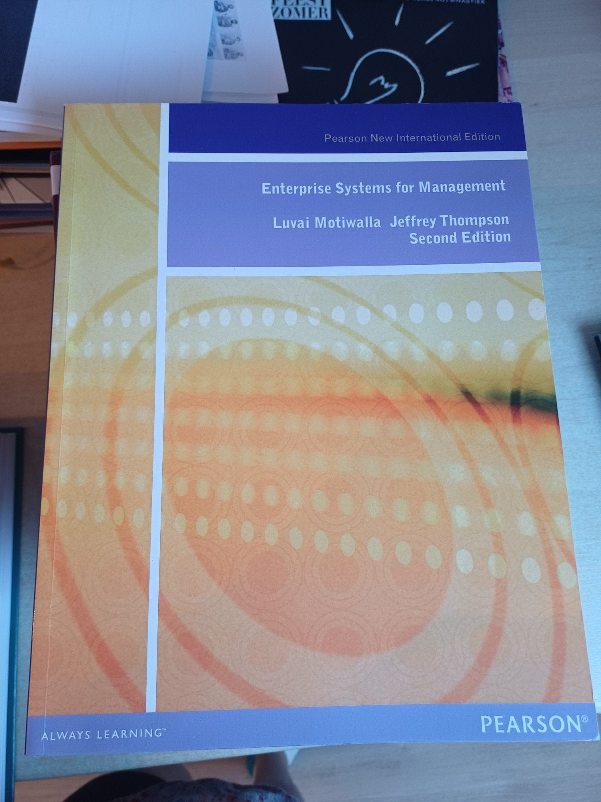 Enterprise Systems for Management - Technisch Bedrijfskunde, Boeken, Gelezen, Luvai Motiwalla, Jeffrey Thompson, Ophalen of Verzenden