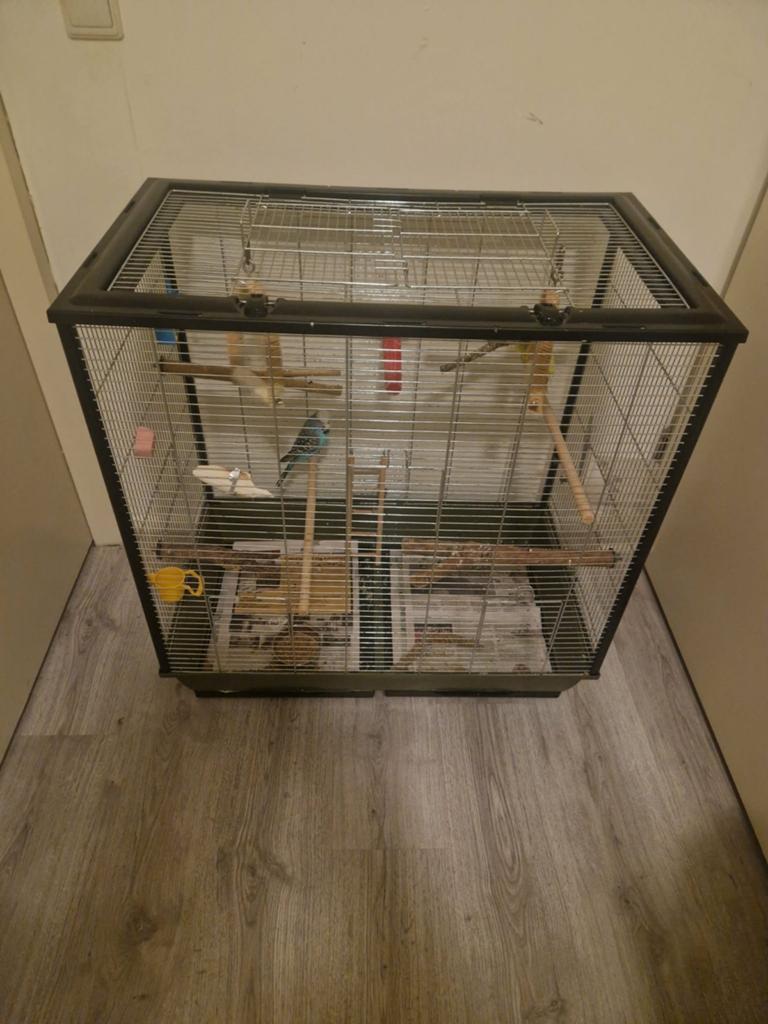 Vogelkooi met Toebehoren kort gebruikt, Ophalen, Zo goed als nieuw, Metaal, Vogelkooi