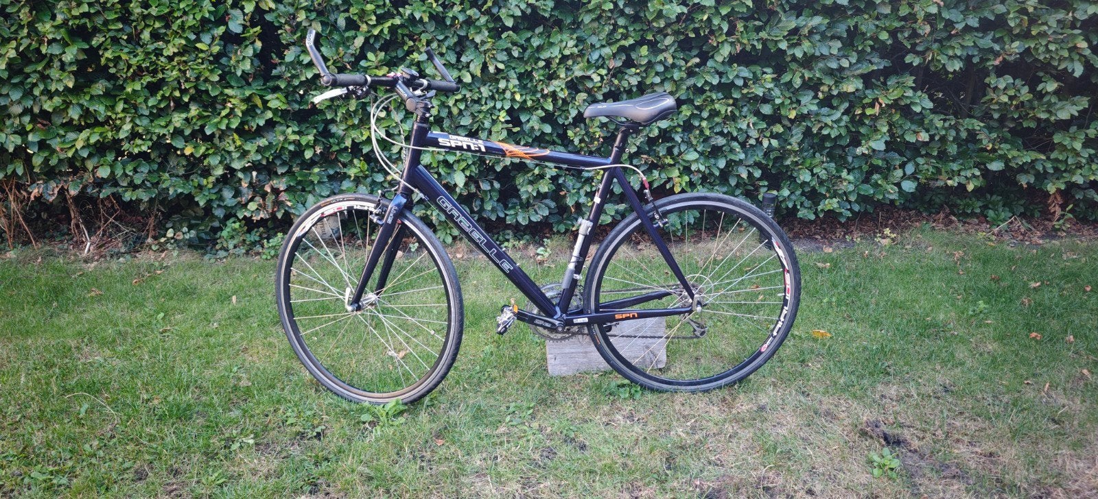 Gazelle SPN:1 Sportfiets 55cm, Gebruikt, Velgrem, 55 cm of meer, Meer dan 20 versnellingen