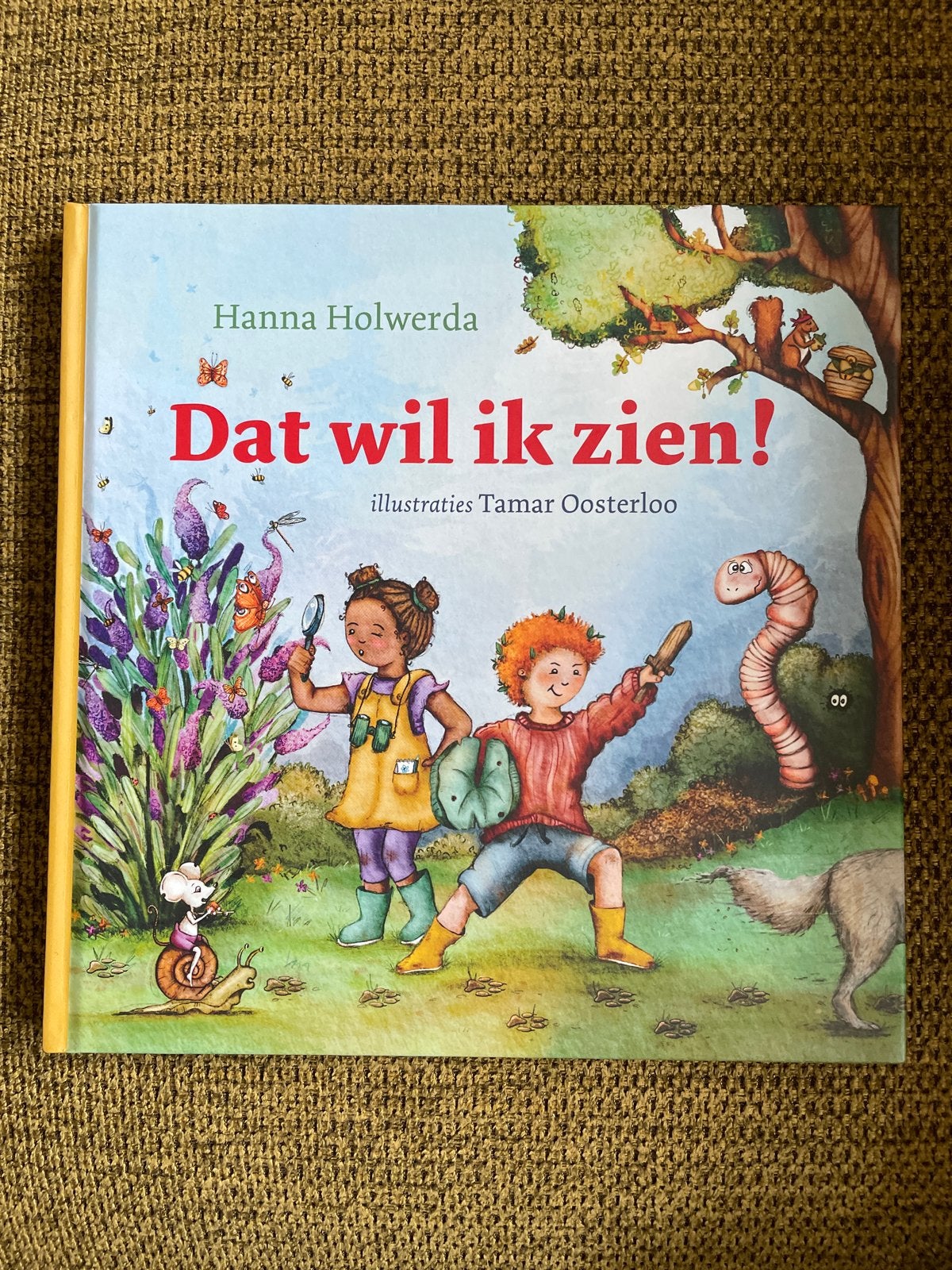 Hanna Holwerda - Dat wil ik zien!, Ophalen of Verzenden, Zo goed als nieuw, Hanna Holwerda